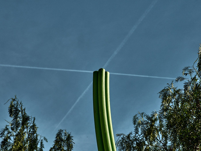 06-Pc24-2025-11-02 13.09.10